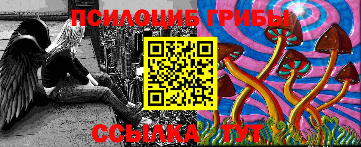 Псилоцибиновые грибы прущие грибы  Вход с VPN  Кандалакша 