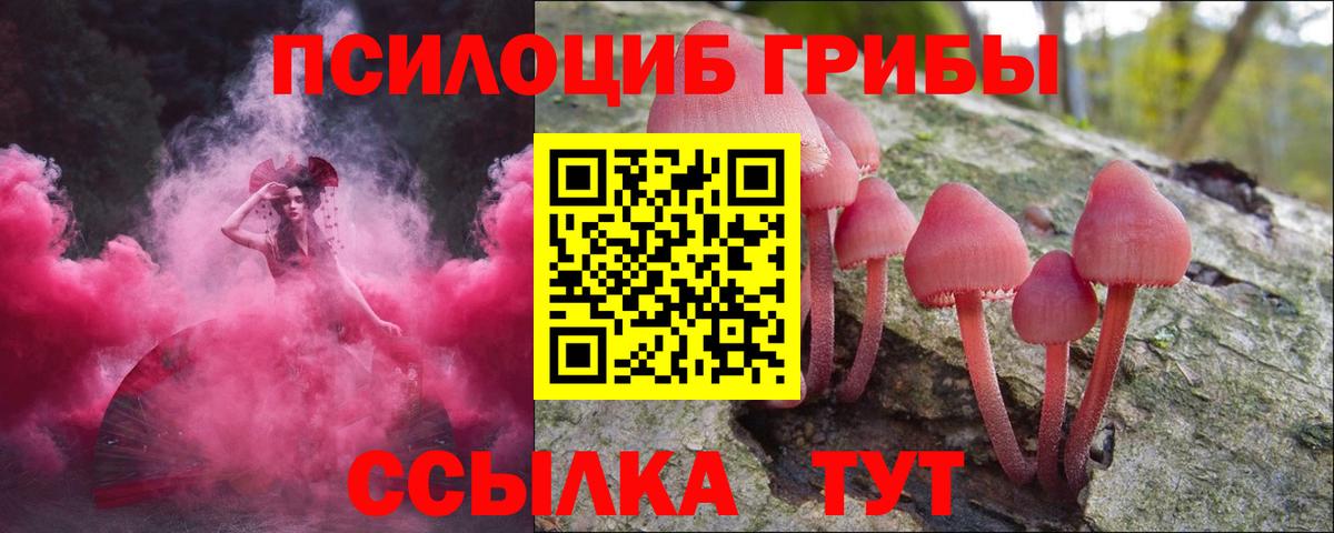 Галлюциногенные грибы мухоморы Кандалакша